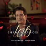 متن اهنگ تب شهاب کامویی