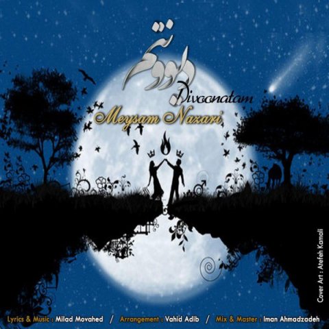 دانلود آهنگ میثم نظری دیوونتم دانلود آهنگ دیوونتم میثم نظری