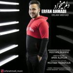 دلم میخواد از عرفان احمدی