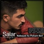 اهنگ سالار قنبری نباید از پیشم بری