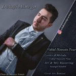 دانلود اهنگ دوتایی عاشق وحید حسین پور