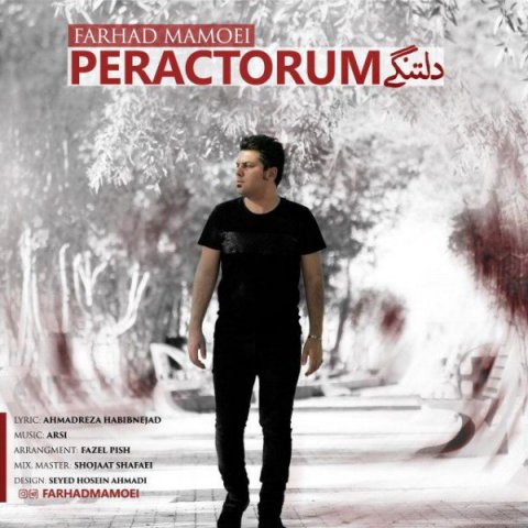 دانلود آهنگ فرهاد ممویی دلتنگی دانلود آهنگ دلتنگی فرهاد ممویی