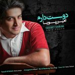 اهنگ جدید امین پویا به نام دوست دارم