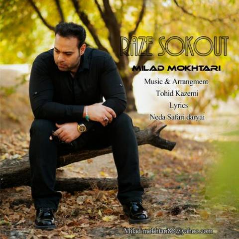 دانلود آهنگ راز سکوت میلاد مختاری