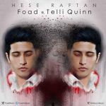 دانلود اهنگ فواد بنام حس رفتن