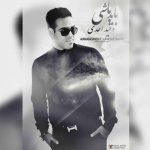 وحید احدی باید باشی اهنگ