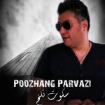 دانلوداهنگ پوژنگ پروازی سکوت تلخ