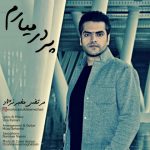 متن آهنگ مرتضی مخبرنژاد پر در میارم