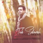 اهنگ جدید یاسر اکبری بنام تک ستاره