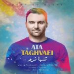 دانلود اهنگ عطا تقوایی تنها نرو