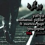 برگرد یحیی و محمد پایدار و مرتضی پایه متن