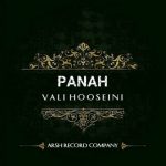دانلود آهنگ ولی حسینی پناه