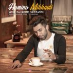 دانلود آهنگ امیر بهادر نبی زاده همینو میخواستی