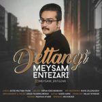 متن اهنگ میثم انتظاری دلتنگی