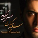 دانلود آهنگ سعید اسکندری حس نمی کردم