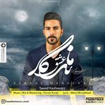 سعید کشاورز عشق ماندگار اهنگ