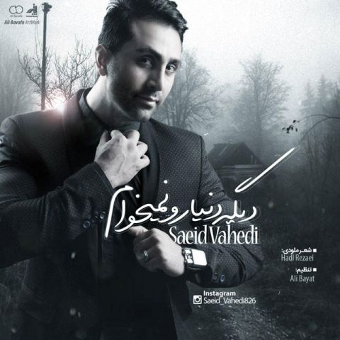 دانلود آهنگ سعید واحدی دیگه دنیارو نمیخوام دانلود آهنگ دیگه دنیارو نمیخوام سعید واحدی