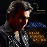 دانلود اهنگ پیام محمودیان دلم هواتو کرده