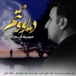متن اهنگ حمیدرضا قاسمخانی دیوونتم