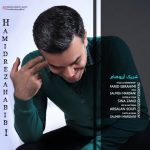 حمیدرضا حبیبی شریک آرزوهام متن