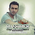 علی صدیق نفهمیدی 320