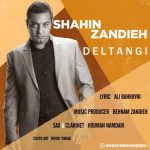 دانلود اهنگ دلتنگی شاهین زندیه