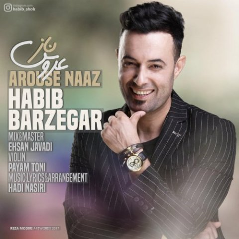 دانلود آهنگ حبیب برزگر عروس ناز دانلود آهنگ عروس ناز حبیب برزگر