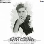 اهنگ امیرحسین ابول زاده باخ گوزومه