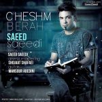 متن آهنگ سعید سعیدی چشم به راه