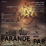 شاهرخ افشار پرنده پر