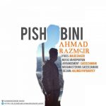 متن آهنگ پیش بینی احمد رزمگیر