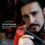 دانلود اهنگ حامد نصر بنام آی ساری کوینه