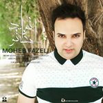 دانلود آهنگ محب فاضلی لحظه تولد تو