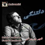 اهنگ جدید امیر وزیری به نام دلتنگی