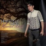 دانلود آهنگ جدید حامد اسدی هر فصل من