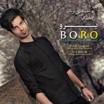 متن آهنگ برو محمدرضا عیسی وند