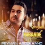 دانلود آهنگ پیمان عبدالوند پرنده