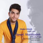 متن اهنگ حس خوب سعید شریف زاده