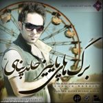 آهنگ حامد پناهی برگ های پاییزی