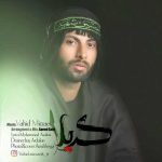 دانلود اهنگ وحید میرزایی کربلا