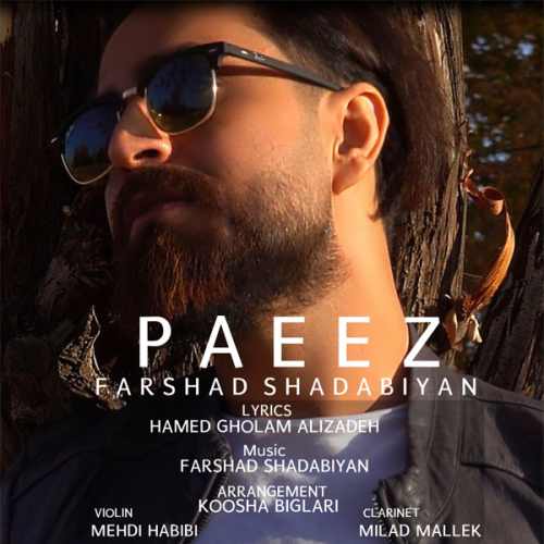 دانلود آهنگ فرشاد شادابیان پاییز دانلود آهنگ پاییز فرشاد شادابیان