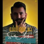 دانلود آهنگ شاهین اسد پور حس فوق العاده