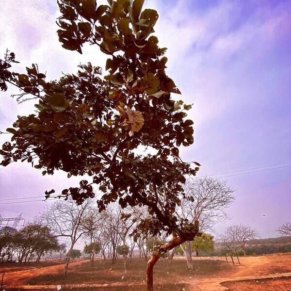 اهنگ عشق نه درمونه نه بیماریه با صدای بچه اهنگ عشق نه درمونه نه بیماریه با صدای بچه