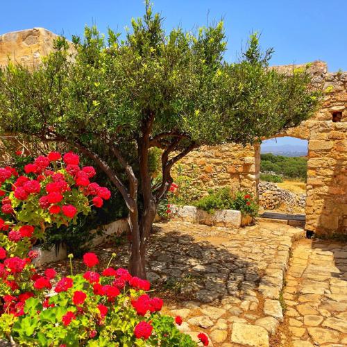 دانلود آهنگ فرزاد شاهوردی ا چش سیاه نازارم دانلود آهنگ ا چش سیاه نازارم فرزاد شاهوردی