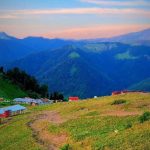 دانلود اهنگ مسلک به نام گربه سیاه