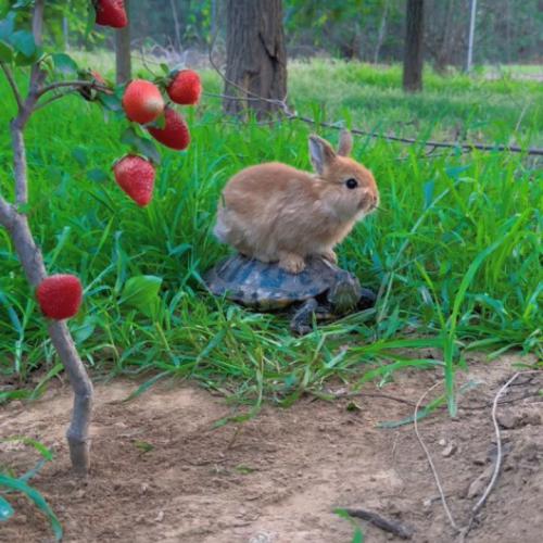 دانلود آهنگ برچسب ها ز احوالم خبر داری نداری دلبر دانلود آهنگ ز احوالم خبر داری نداری دلبر برچسب ها