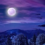 متن اهنگ امیر فخار چرا نمیای چرا نمیخوای من که واست زدم قید خیلیا