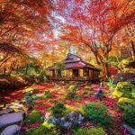 بهنام و مجتبی شاد شاد 7 (مخصوص رقص و جشن و عروسی)