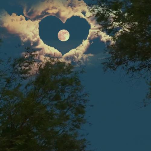 دانلود آهنگ لارا فابیان ژوتم دانلود آهنگ ژوتم لارا فابیان