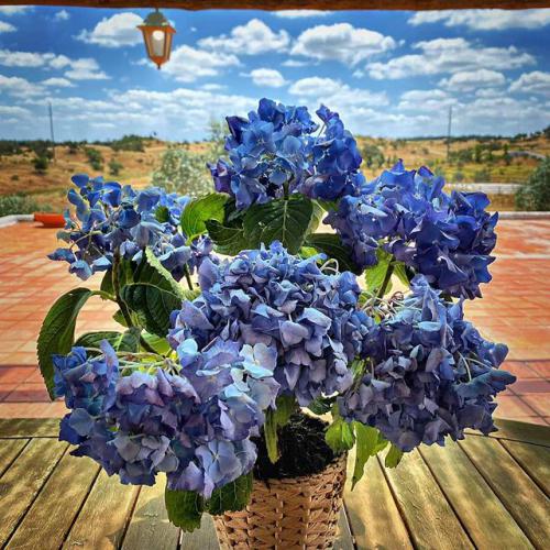 دانلود آهنگ برچسب ها به خاطر تو میخونم یا تو یا هیچکس دیگه دانلود آهنگ به خاطر تو میخونم یا تو یا هیچکس دیگه برچسب ها